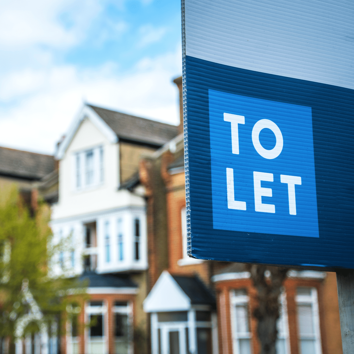 Blue sign in front of row of houses reads 'to let'.